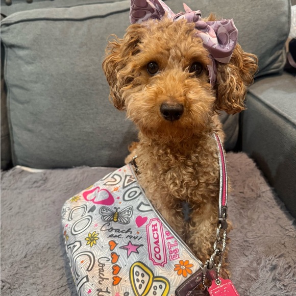 POPPY GAME - Picture 2 of 4